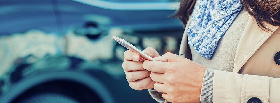 Laurie Campos Insurance Blog