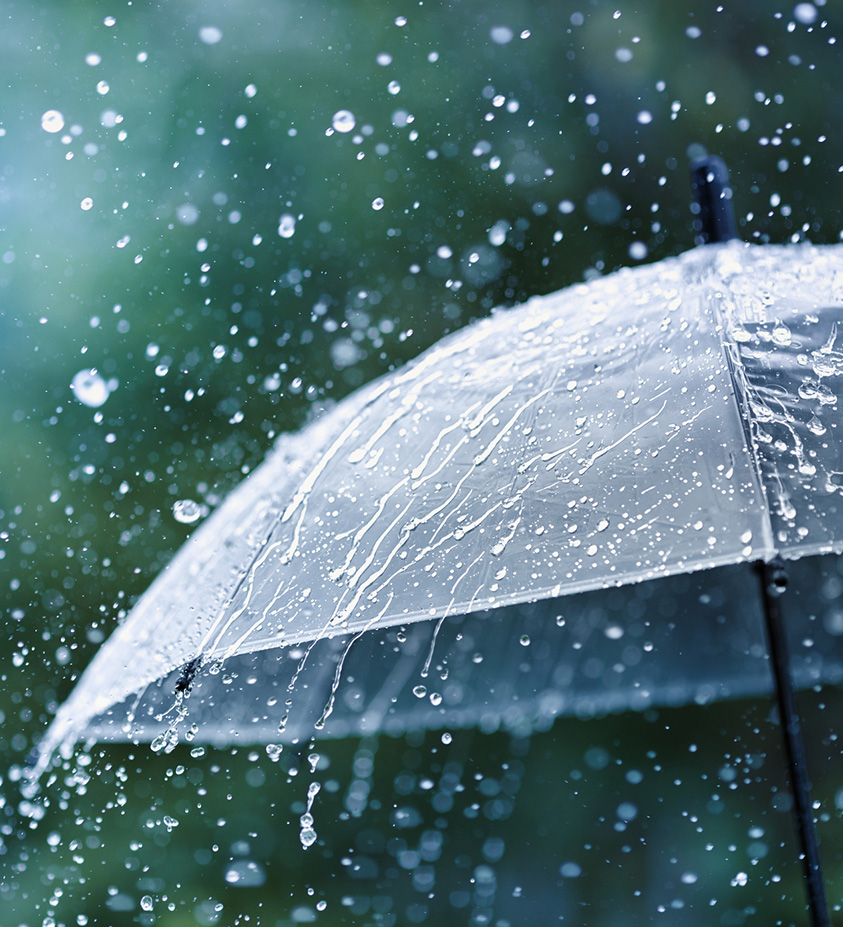 Featured Umbrella Content Image